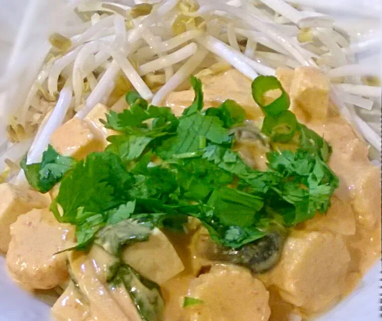 Vegetarian red curry with somen noodles|Jiraphon Gさん