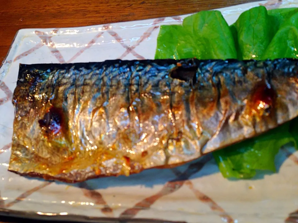 長崎 五島列島の塩さば！肉厚〜|ちなみんさん