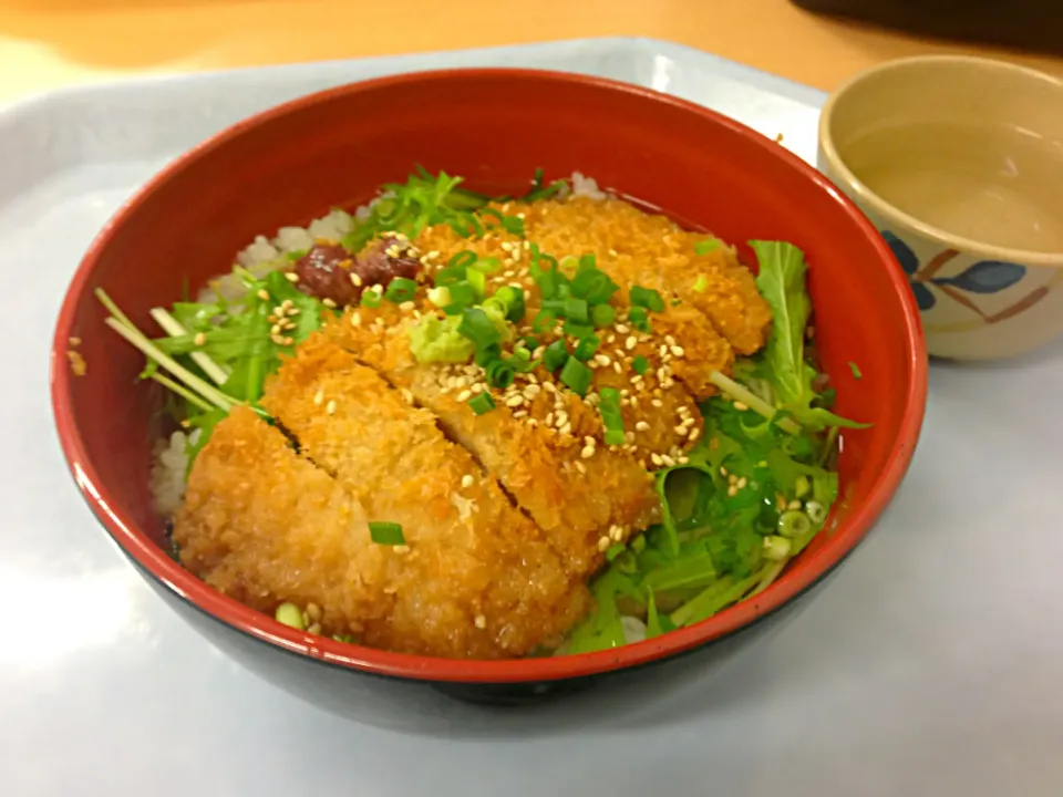 梅カツ茶漬け🍵学食|ミツさん