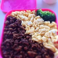 赤味噌そぼろ弁当|れおさん