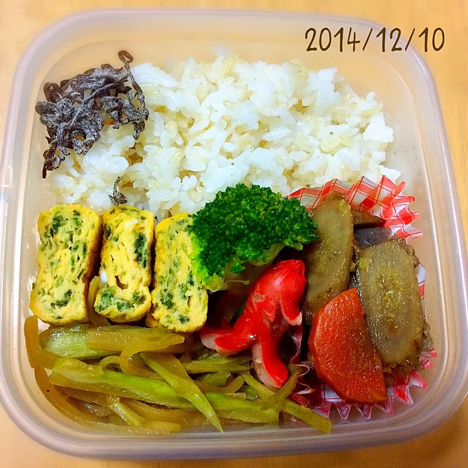 お弁当 2014/12/10|たまこっこさん