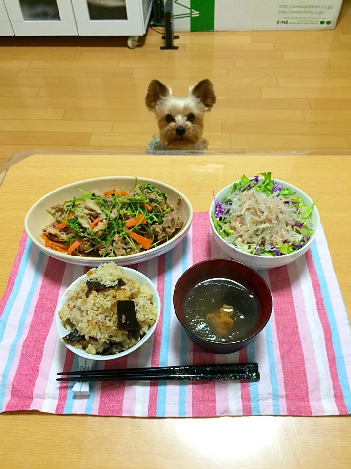 ☆ 豆苗と豚こまの炒め物|Fuyumi Nakanoさん