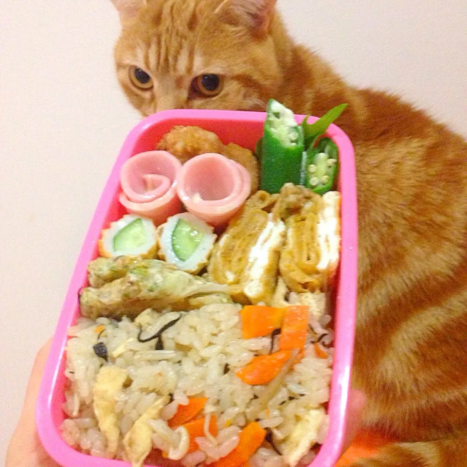 茶色いお弁当(=^x^=)|さくらんぼさん