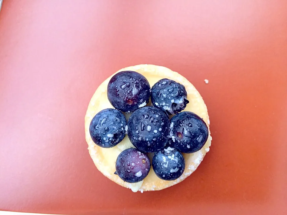 Blueberry tart|J A N I Aさん