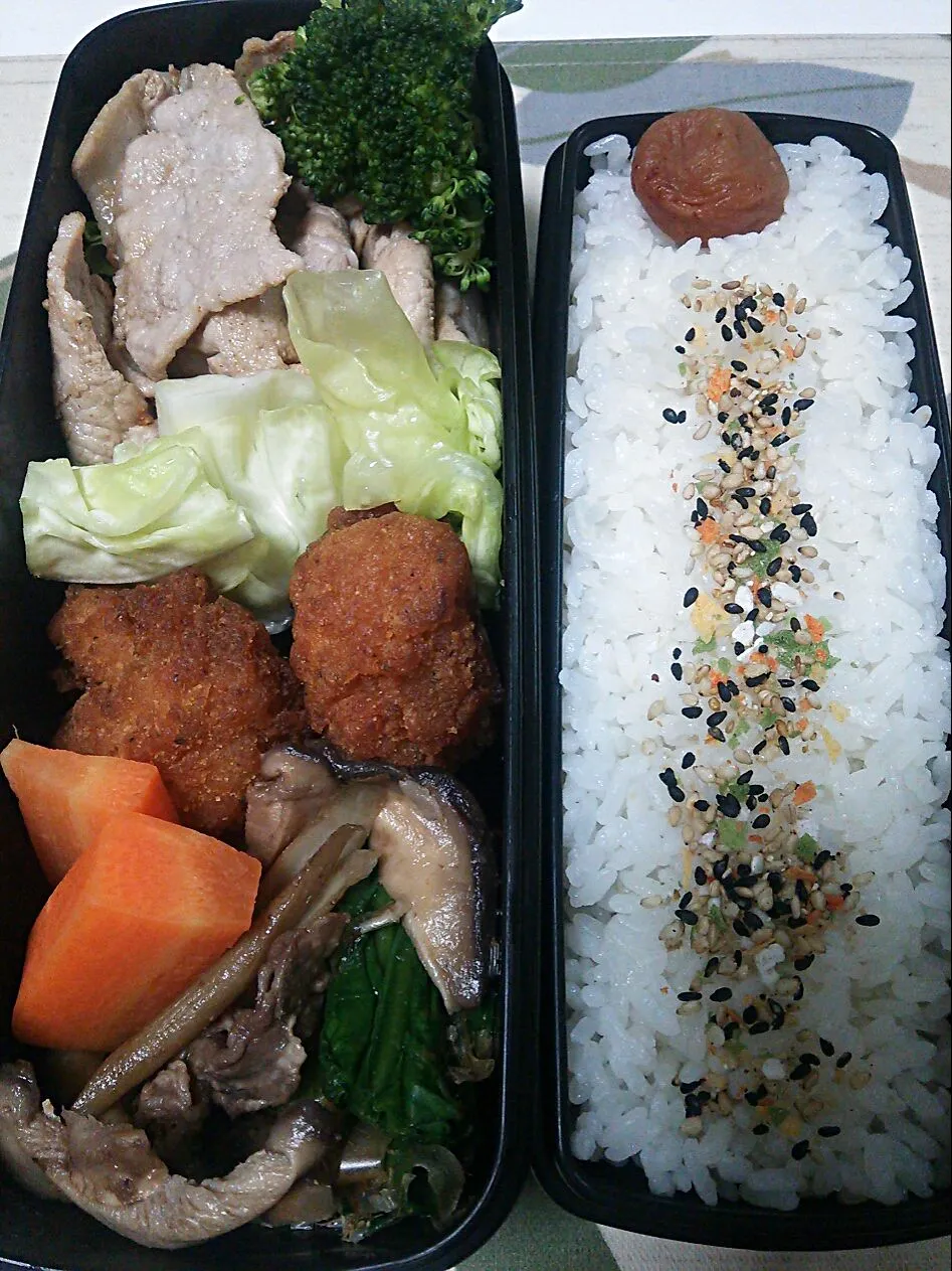 今日のお弁当|chiinaさん