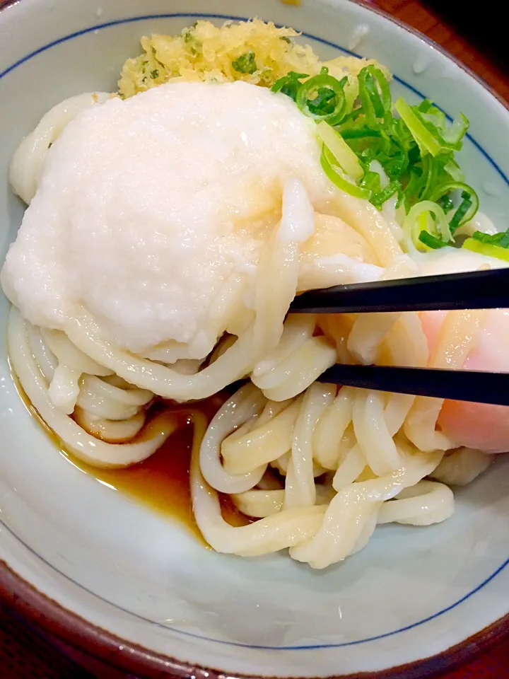 とろたまうどん冷|大希幸子さん