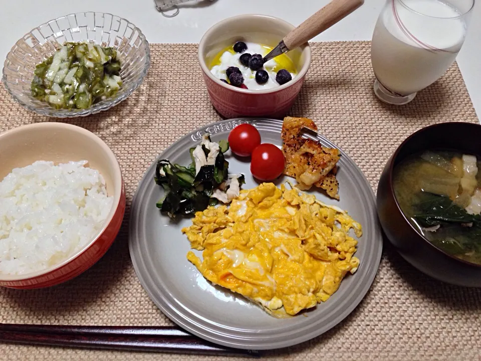 炒り卵 ささみ胡瓜わかめの酢の物 鶏皮のパリパリ煎餅 長芋めかぶおくらのポン酢和え 明日葉大根豚バラの味噌汁 ヨーグルト 牛乳|にゃろめさん