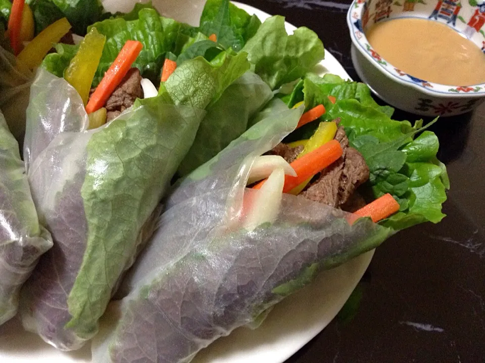 Vietnamese Beef Rice Paper Rolls|✨강민지✨さん