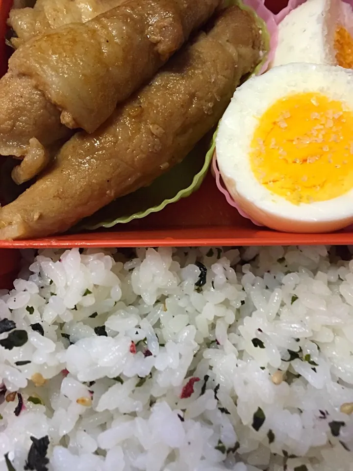 Snapdishの料理写真:本日のお弁当|Nao K. Tさん