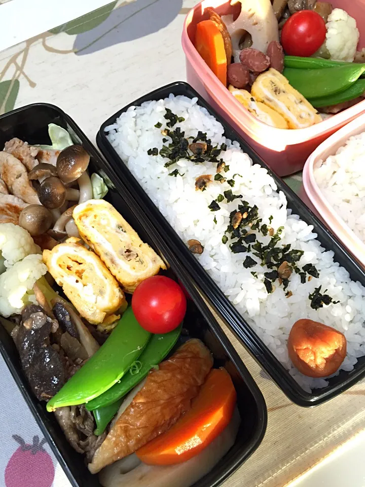 今日のお弁当|chiinaさん