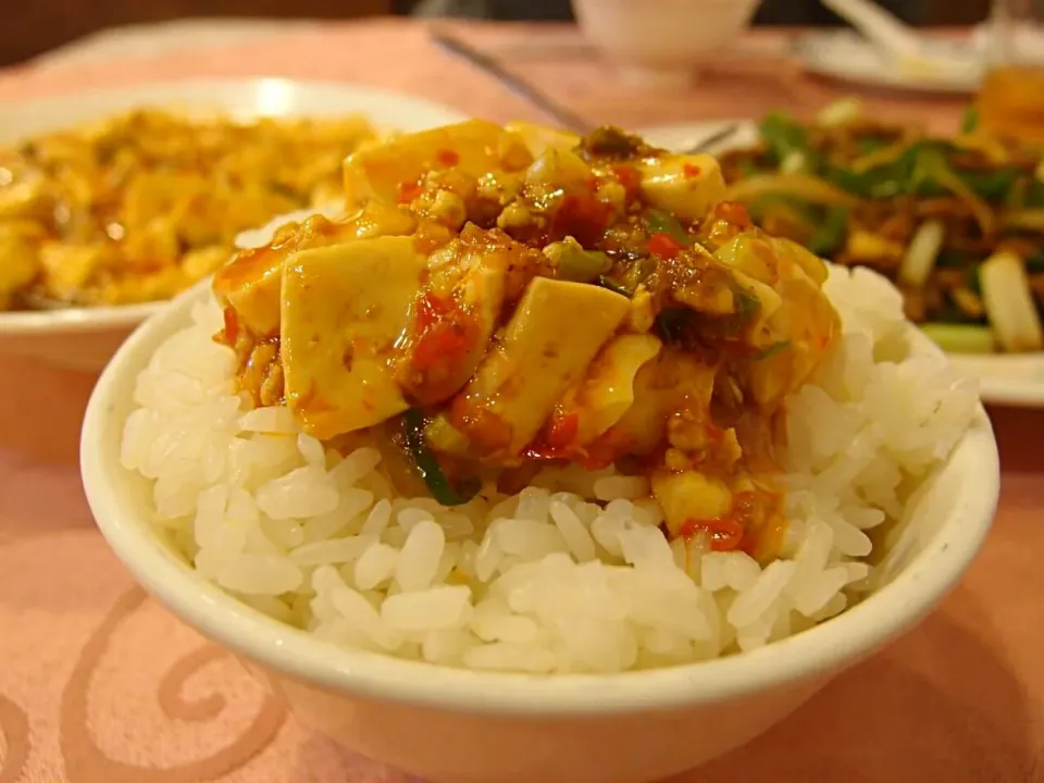 麻婆豆腐と青椒肉絲！台北駅近くの老舗料理店。美味でした！！|aaotaさん