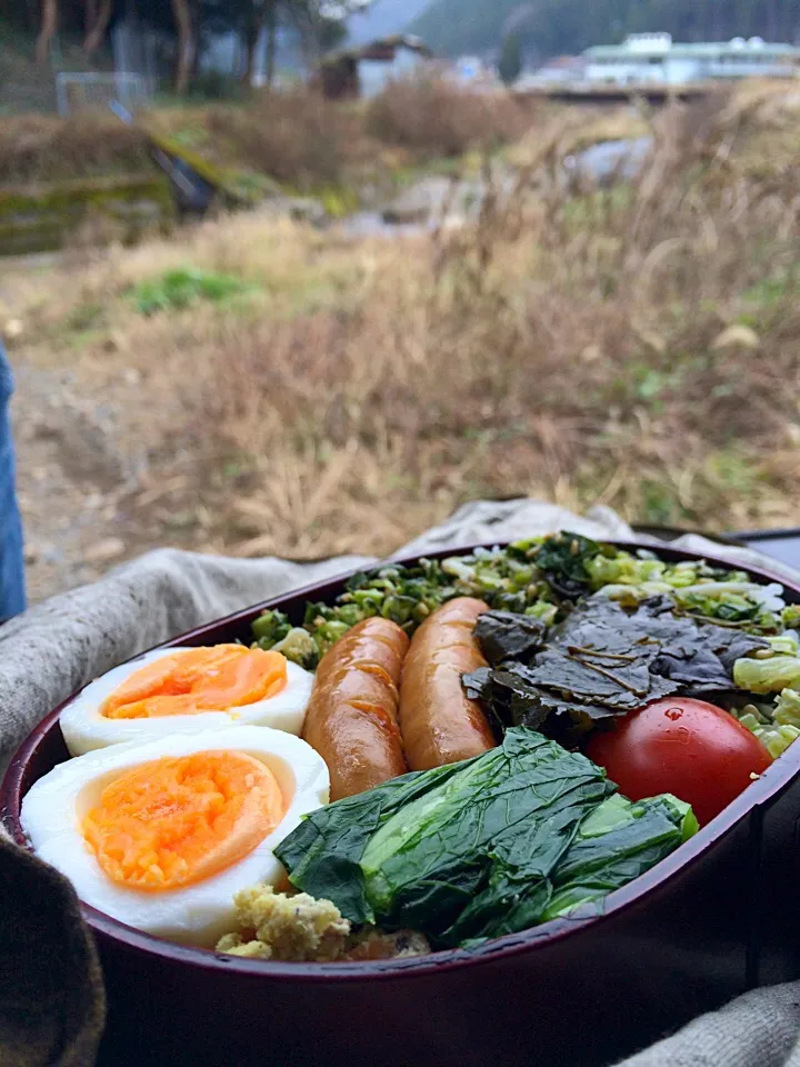 ピクニック・ランチ♬ (▰˘◡˘▰)☝︎|Yoshinobu Nakagawaさん