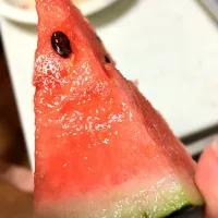 スイカ🍉💕|えまちむさん