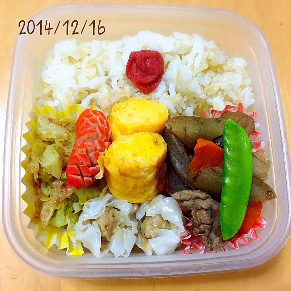 お弁当 2014/12/16|たまこっこさん