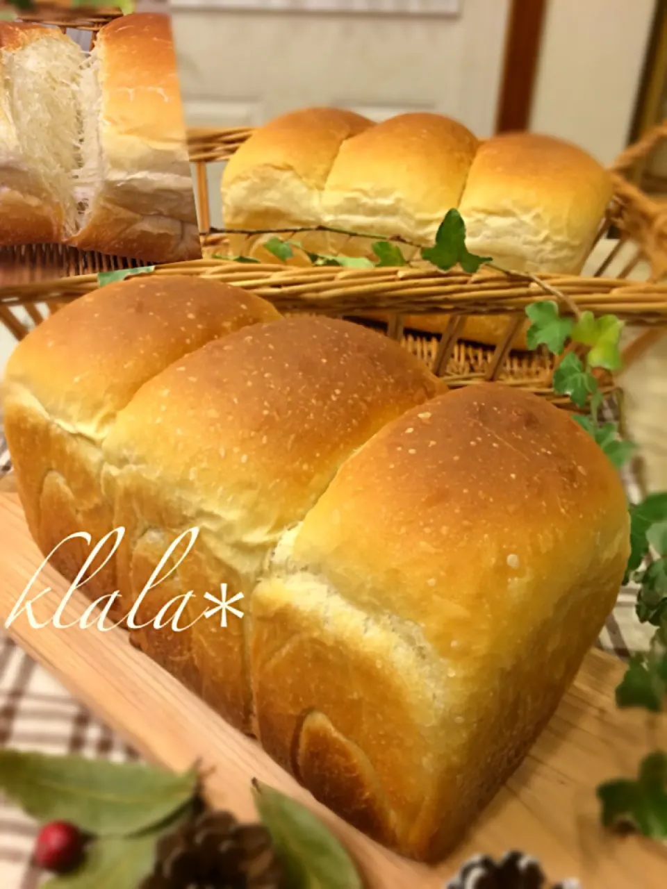 ラフランス酵母と、りんご酵母食パン🍞|くららさん