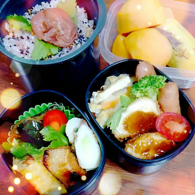 Snapdishの料理写真:2014/12/17(水)旦那さんのお弁当|hitomi.kさん