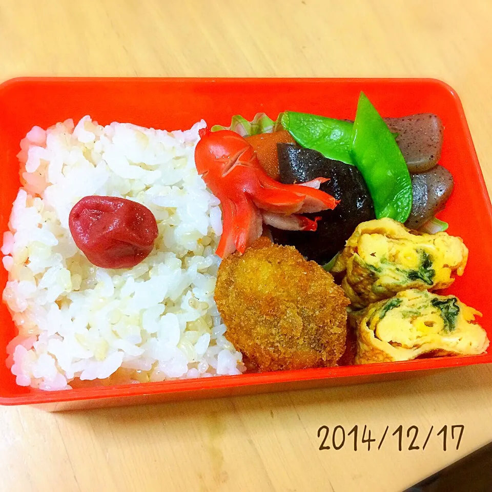 お弁当 2014/12/17|たまこっこさん