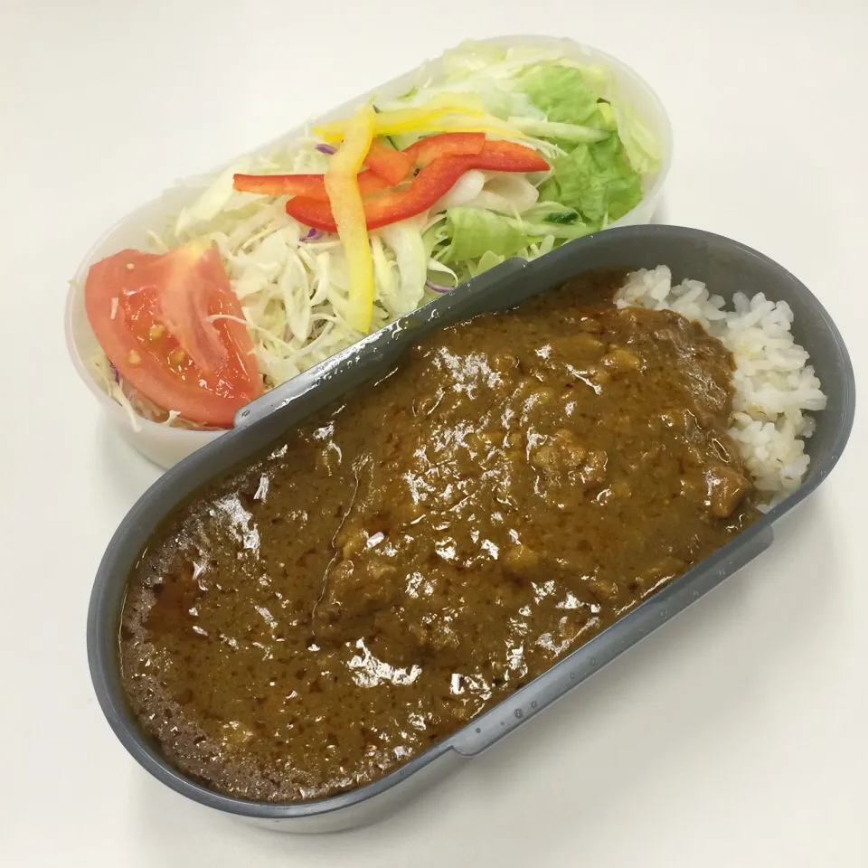 弁当（キーマカレー、サラダ）|SasaMasa213さん