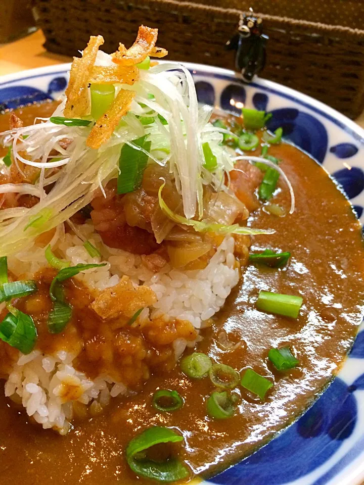 マダム•カリーの牛スジネギカレー|大阪カレー部長さん