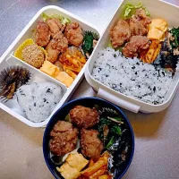 ある日のお弁当|そらはるさん