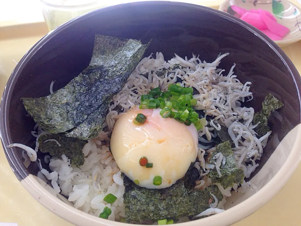 社員食堂で『温泉卵としらす丼』|コージ💫さん