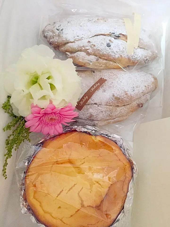 クリスマスギフト|星さん