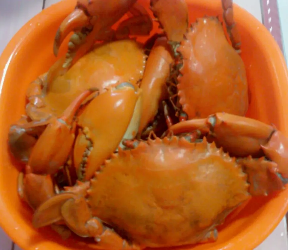 Fried Crab|Amalia Anggrainiさん