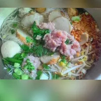 Snapdishの料理写真:Noodles with pork and shrimp balls|pam chaletaさん