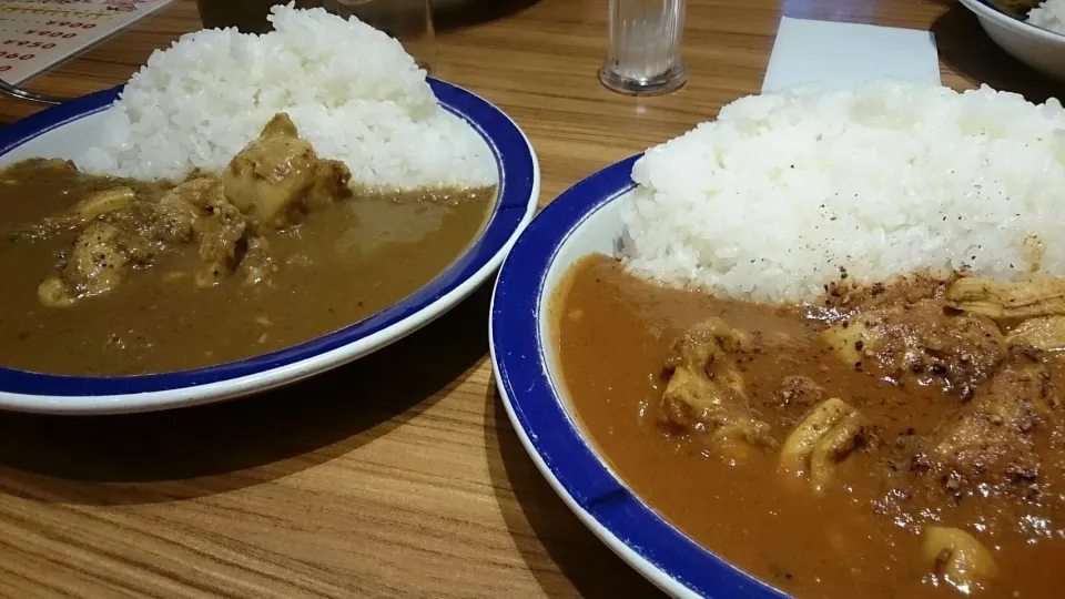 チキンカレー50倍|サイファさん