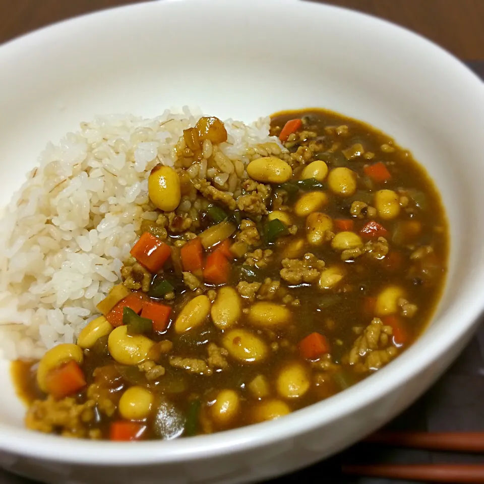 豆とひき肉のカレー|Koichi GOGOさん