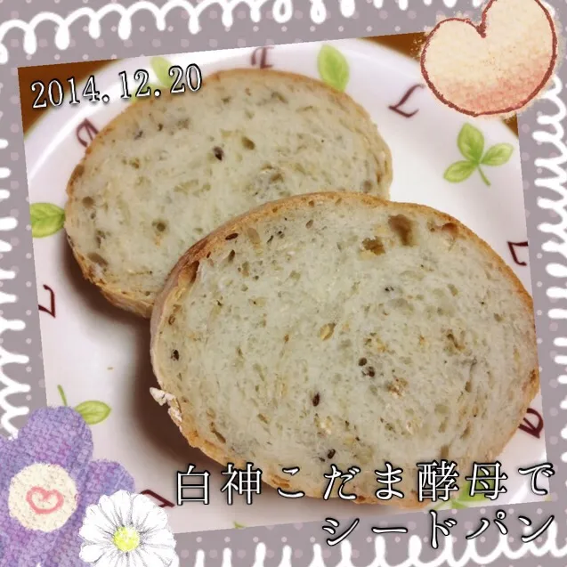 白神こだま酵母でシードパン|なかぱんさん