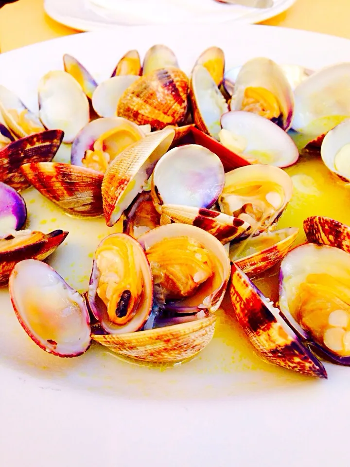 Snapdishの料理写真:Vongole al vino bianco|skilmen fageさん