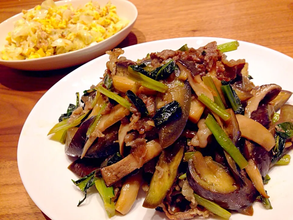 牛肉とナスのニンニク炒めとキャベツと卵のマヨ炒め|あやかさん