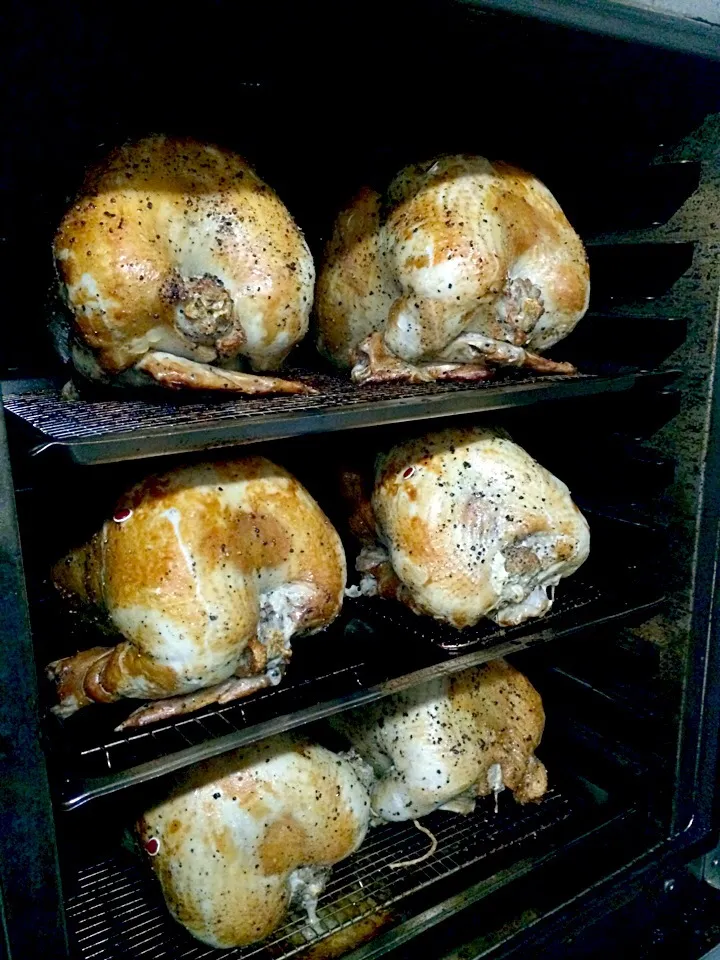 Turkey Roasting|Carin Tayさん