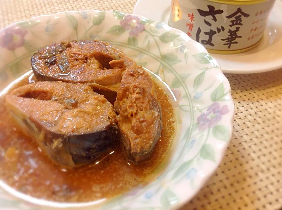 金華サバ🐟メッチャ美味しい😋|アライさんさん