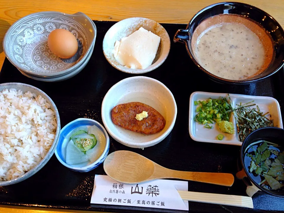 自然薯かけ麦ごはん|浦野さん