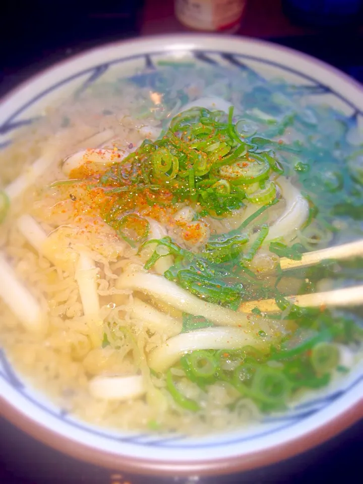 丸亀製麺のうどん🍴|しのてらさん