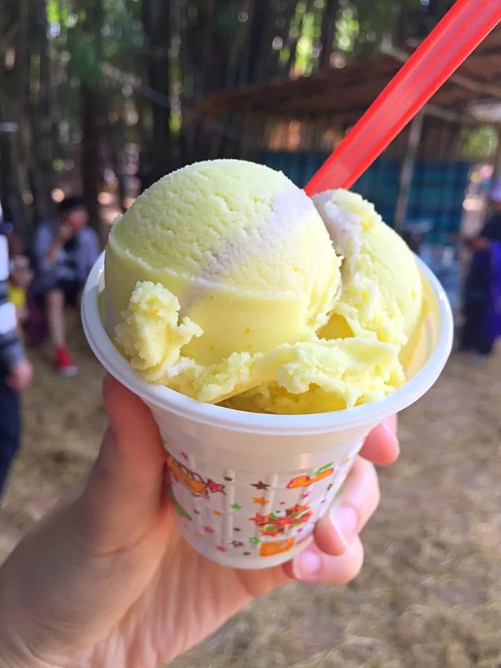 Pumpkin  and taro icecream|PhUnGさん