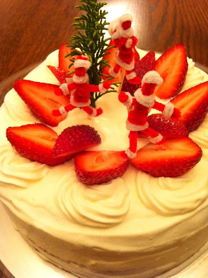 Snapdishの料理写真:手作りクリスマスケーキ！|ritocotoさん