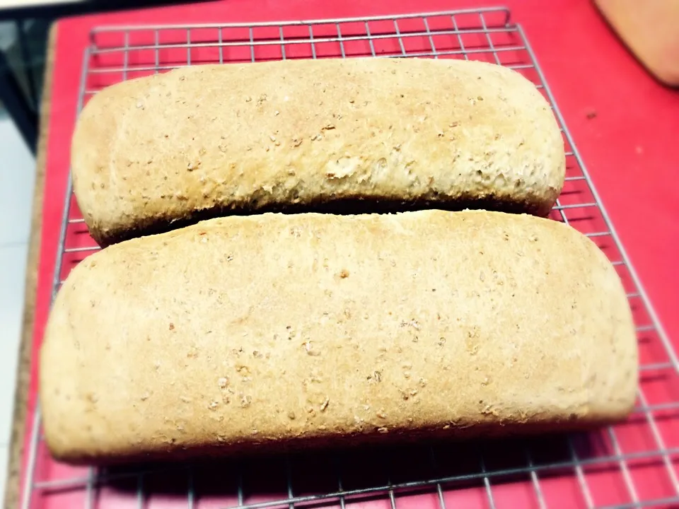 bread whole wheat|Endoさん