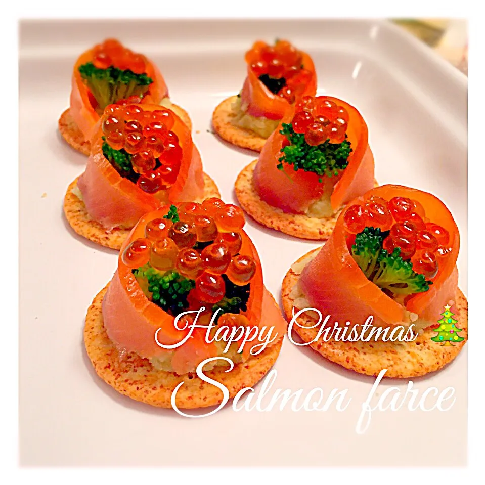 Christmas salmon farce 🎄|りまこさん