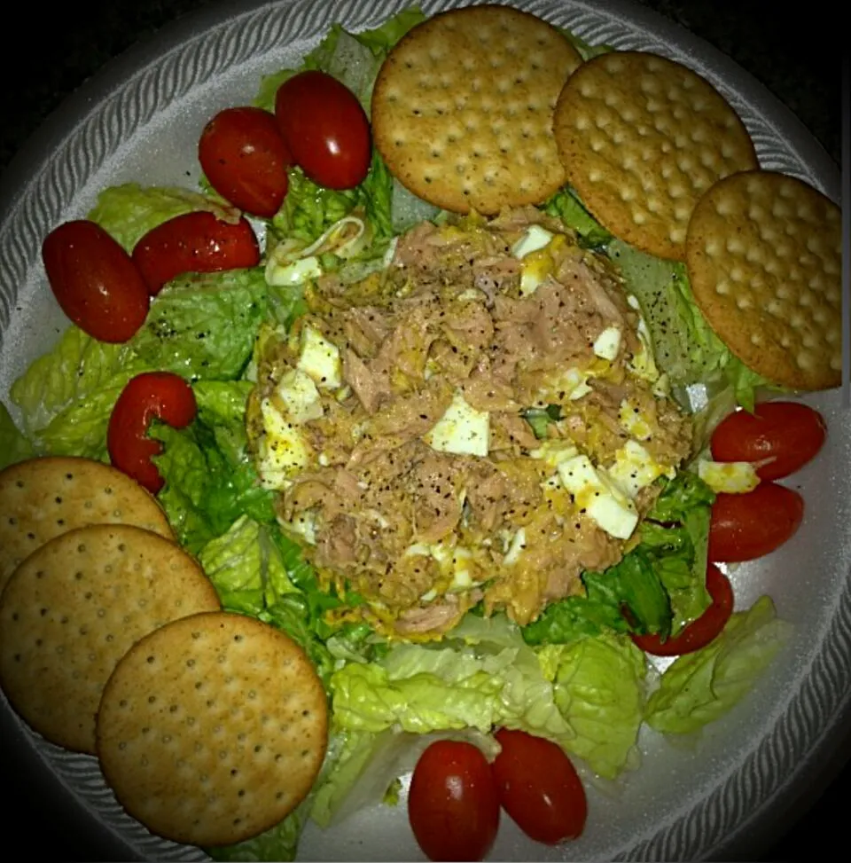 I Made Fresh Tuna Salad With Crackers & Tomato #Seafood #Salad #Vegetable #Bread #Lifestyle #Quick and easy #Healthy|Alisha GodsglamGirl Matthewsさん