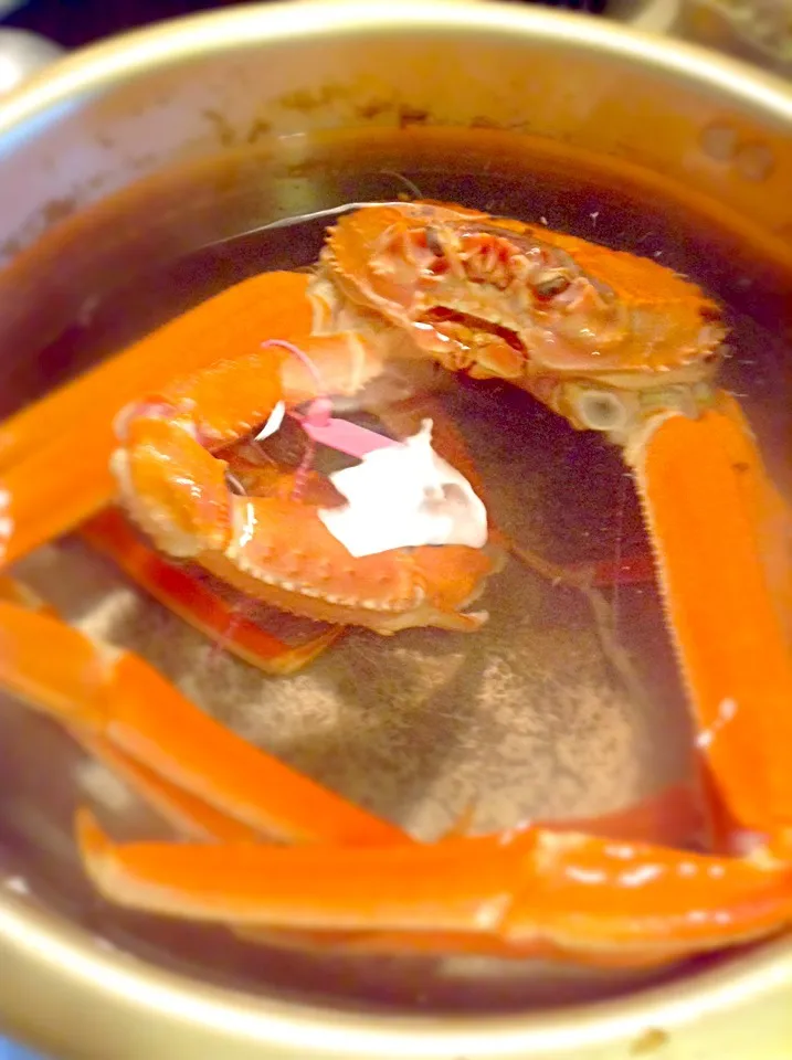 ThiS CraB LooKs maD..|GeMzKiTchさん