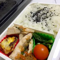 Snapdishの料理写真:お仕事弁当|かりめろさん