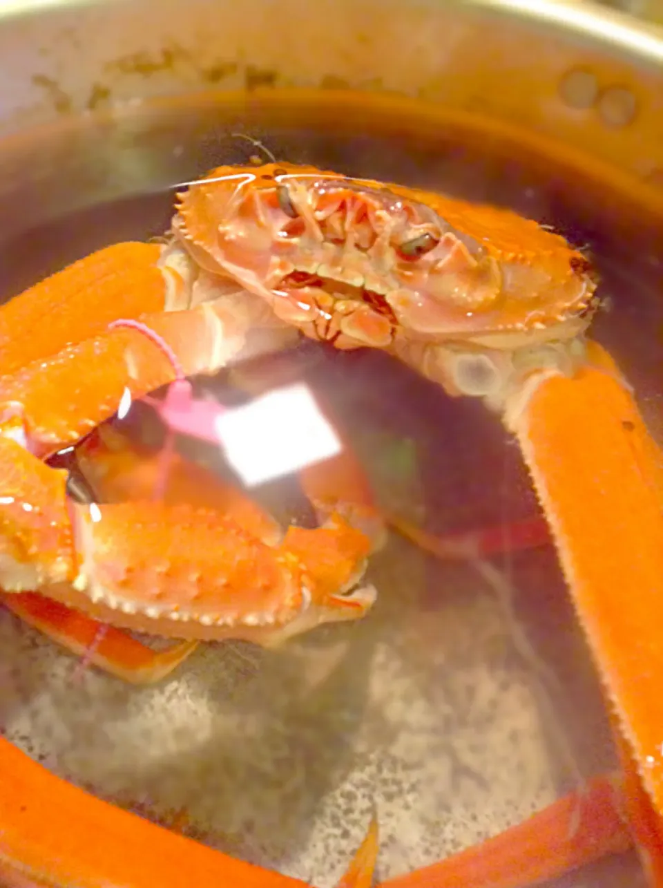 MaD CraB..|GeMzKiTchさん