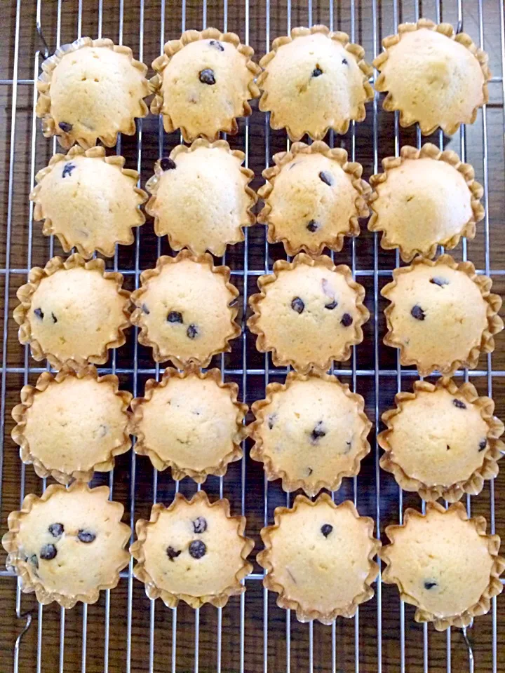 太白胡麻油で今日はチョコチップとオレンジピール入れて☺️|yogurutoさん