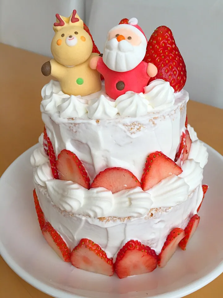 子どもたちと作ったクリスマスケーキ|まりもこさん