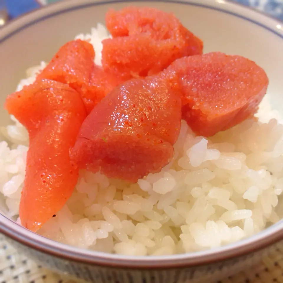 乗っけシリーズ(ご飯編)🍚😋|アライさんさん