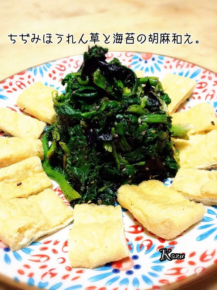 Snapdishの料理写真:ちぢみほうれん草と海苔の胡麻和え|かずきっちんさん