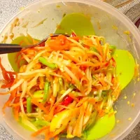 Snapdishの料理写真:Thai papaya salad spicy|riamさん